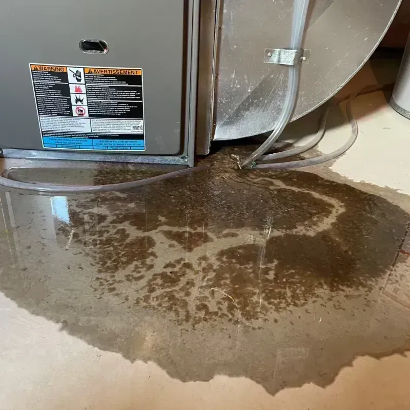 Appliance Leak Cleanup in Spencer County, KY